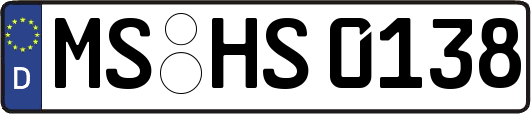 MS-HS0138