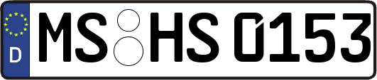 MS-HS0153