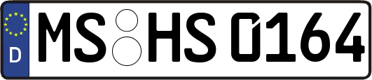 MS-HS0164
