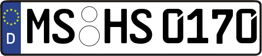 MS-HS0170