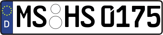 MS-HS0175