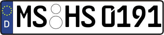 MS-HS0191