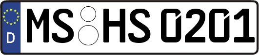 MS-HS0201