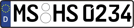 MS-HS0234