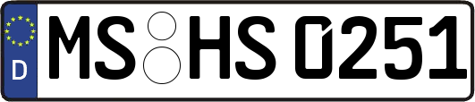 MS-HS0251