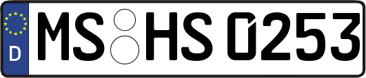 MS-HS0253