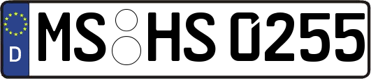 MS-HS0255