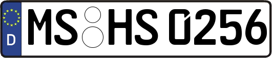 MS-HS0256