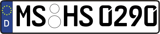 MS-HS0290