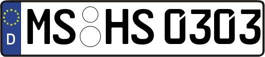 MS-HS0303