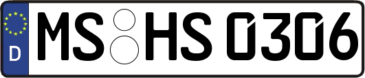 MS-HS0306