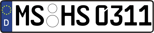 MS-HS0311