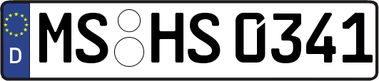 MS-HS0341