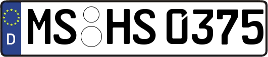 MS-HS0375