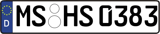 MS-HS0383
