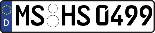 MS-HS0499
