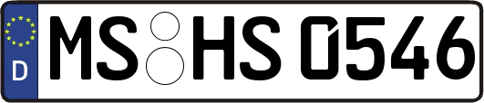 MS-HS0546
