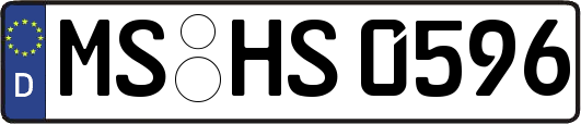 MS-HS0596