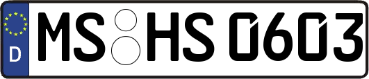MS-HS0603