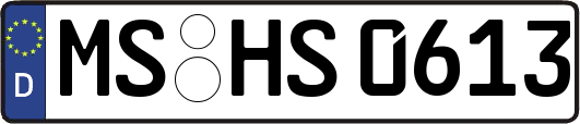 MS-HS0613