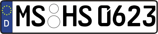 MS-HS0623