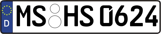 MS-HS0624