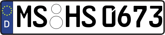 MS-HS0673