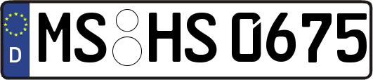 MS-HS0675