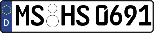 MS-HS0691