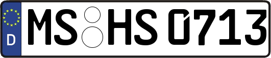 MS-HS0713