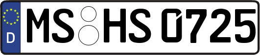 MS-HS0725