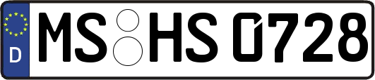 MS-HS0728