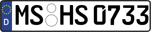 MS-HS0733