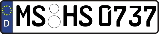 MS-HS0737