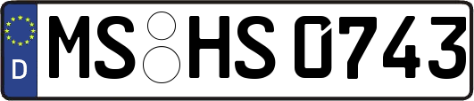 MS-HS0743