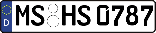 MS-HS0787