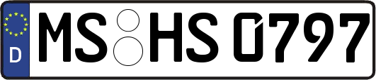 MS-HS0797
