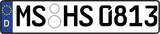 MS-HS0813