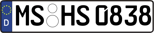 MS-HS0838