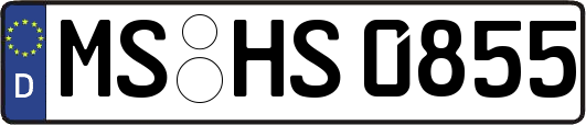 MS-HS0855