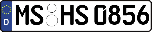 MS-HS0856