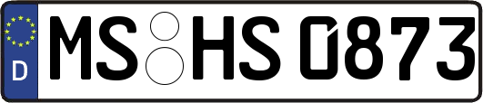 MS-HS0873