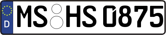 MS-HS0875