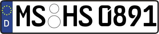 MS-HS0891