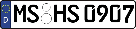 MS-HS0907