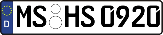 MS-HS0920