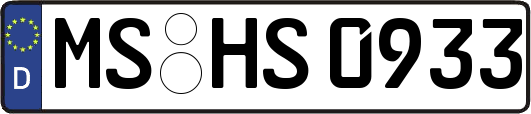 MS-HS0933