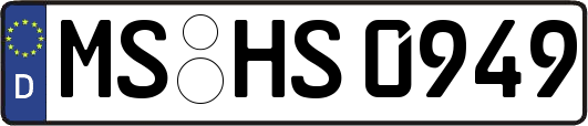 MS-HS0949