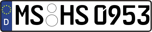 MS-HS0953