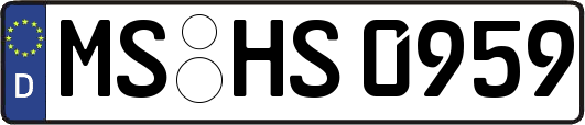MS-HS0959